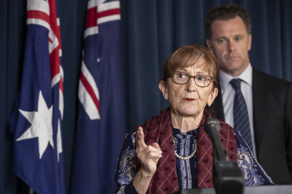 Member for Lismore Janelle Saffin has spoken out against Resilience NSW.