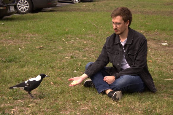 La Trobe researcher Robin Johnsson (right) said the research showed magpies are very similar to humans in their responses to sleep deprivation.