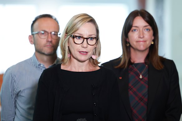 Greens leader Larissa Waters has accused the government of placing private profits over climate action