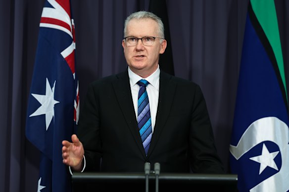 Home Affairs Minister Tony Burke.