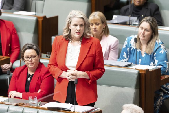 Home Affairs Minister Clare O’Neil has rebuked Optus over its data breach.