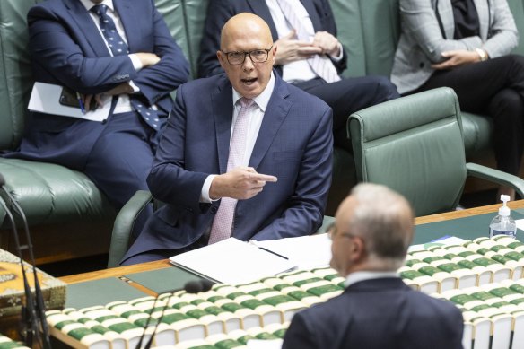 Opposition Leader Peter Dutton and Prime Minister Anthony Albanese during question time on Thursday.