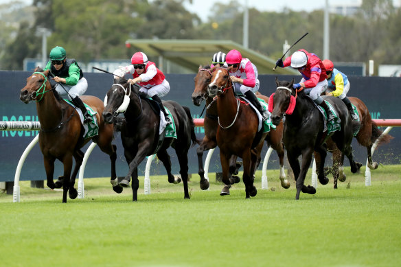 Trooper Knuckle (green cap) wins a highway at Rosehill in the final start.