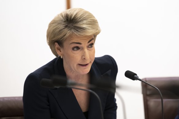 Coalition industrial relations spokeswoman Michaelia Cash accused bureaucrats of Googling research.