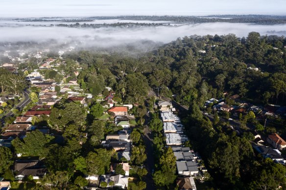 Hornsby Shire’s tree canopy cover in 2020 was 78.6 per cent: the greatest urban forest in Sydney.