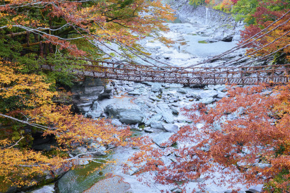 One of the woven bridges in the Iya Valley in Shikoku’s Tokushima Prefecture.