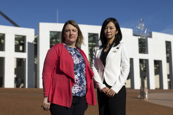 Australian mother Catherine Henderson (left) and Japanese MP Mizuho Umemura in Canberra this week.