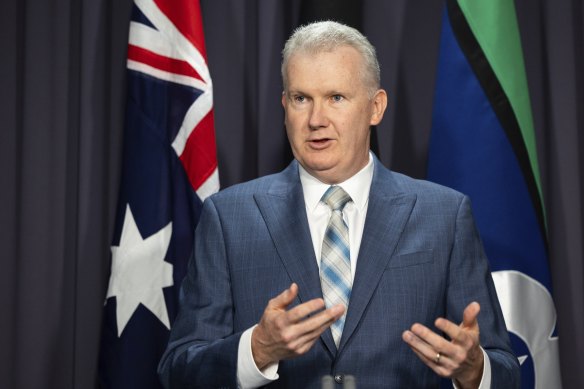 Minister for Employment and Workplace Relations Tony Burke.