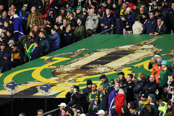 Fans at the Rugby World Cup final.