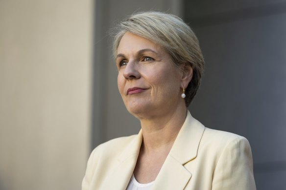 Minister for the Environment and Water Tanya Plibersek said states would financially and environmentally benefit from re-committing to the plan.
