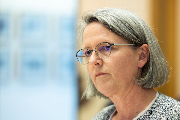 Treasury secretary Jenny Wilkinson believes red tape in the vetting of foreign investments can be cut.