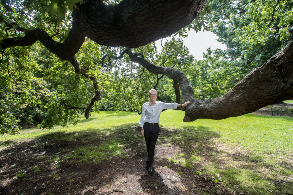 Tim Entwisle, chief executive of the Royal Botanic Gardens.