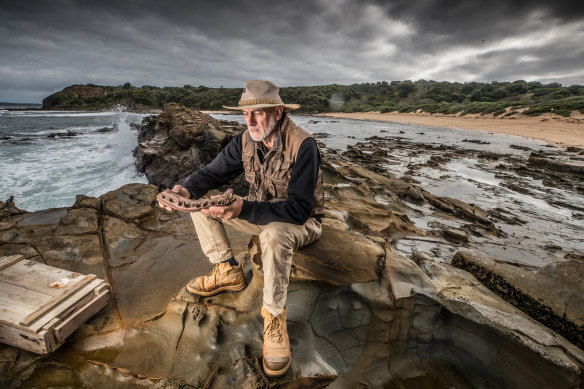 Palaeontologist Mike Cleeland with a dinosaur fossil. 