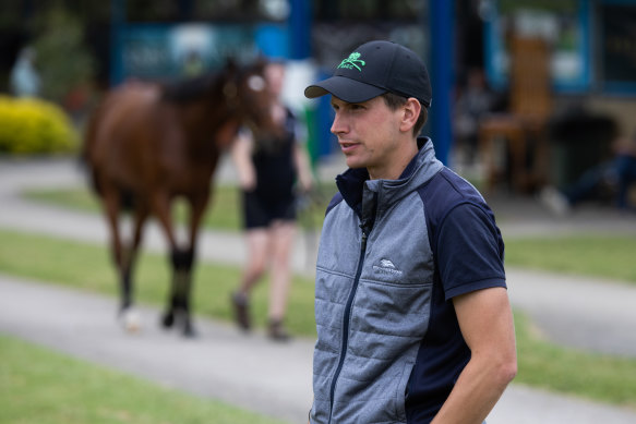 Mitch Freedman inspects horses at Inglis.