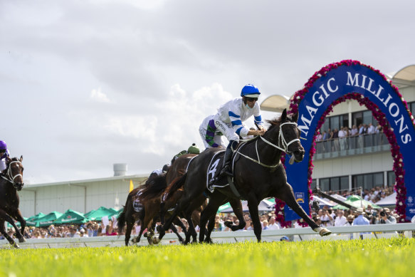 Magic Millions to go ahead despite pandemic.