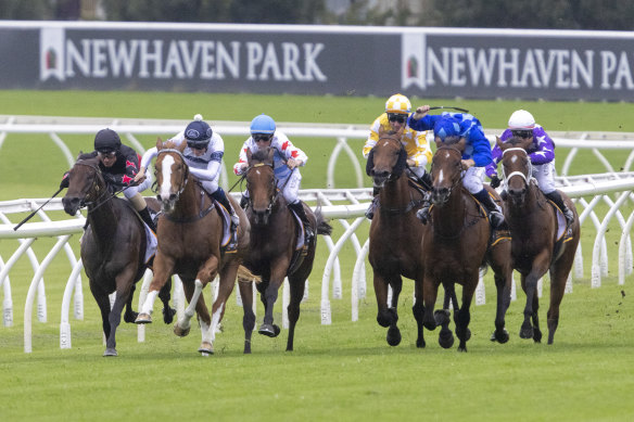 Leading the charge: Vangelic, second from the right, goes for home in the group 1 Surround Stakes at her last start before running second to Forbidden Love, third from the left.   