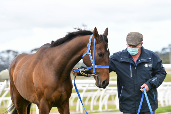 Moody with Incentivise after last month’s slashing Caulfield Cup win.