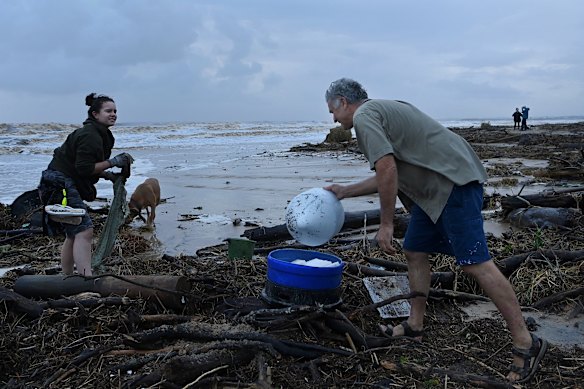 Matilda Brookhouse and her father Kevin from Old Bar collect plastics and debris from the beach. 