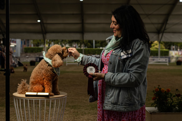 Lord Benson of Sydney is fed high-quality brie by owner Nikki Babic Lissing.
