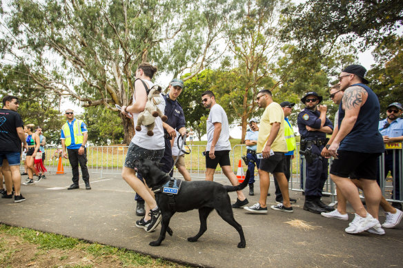 Drug detection dogs will be in force at the Listen Out Festival next Saturday. 