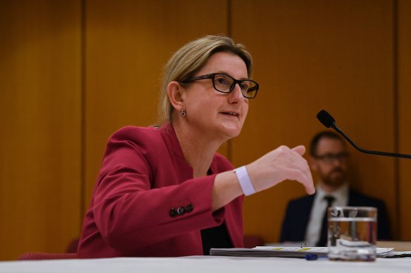 Investment NSW managing director Kylie Bell gives evidence.