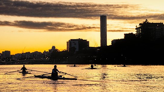 Rowers on the Brisbane River.