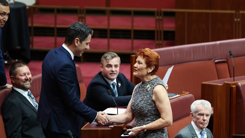 Alex Antic, now Liberal state president, says Coalition must work with One Nation