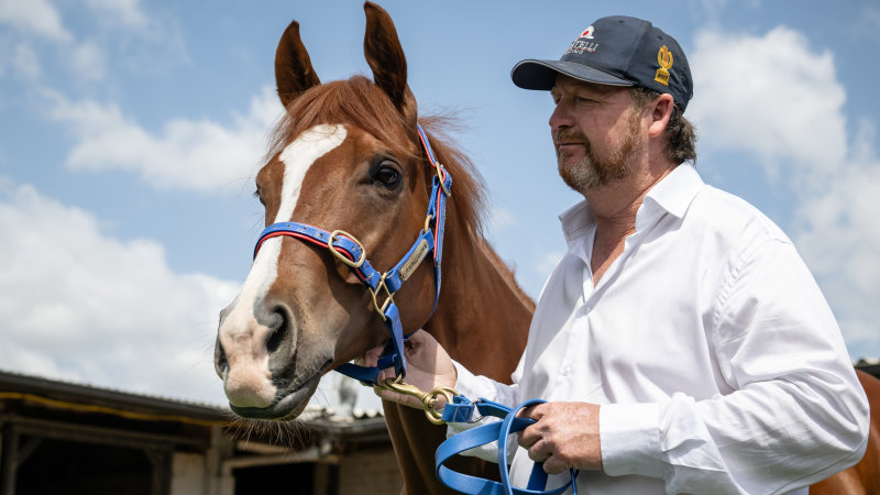 In-form Portelli stable takes two contenders to Gosford