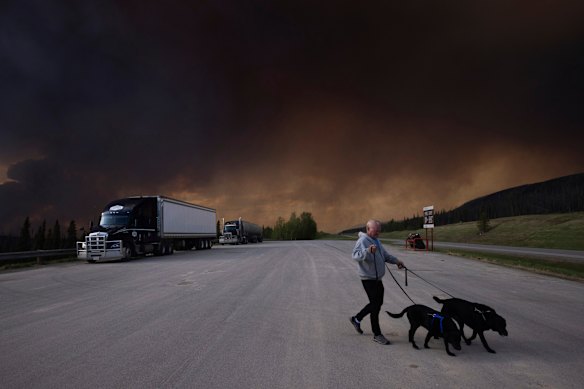 A tourist takes his dogs out for a quick break under billowing wildfire smoke off Highway 97 north of Buckinghorse River, British Columbia.