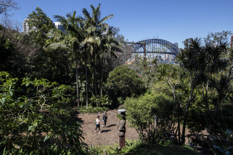 Summer in Sydney means ... the first mince pie, cicada trills and storms