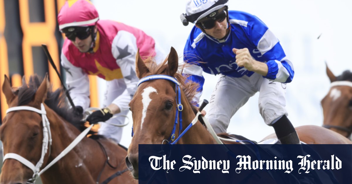 Masked Crusader backed into favouritism, but will he stay in Sydney?