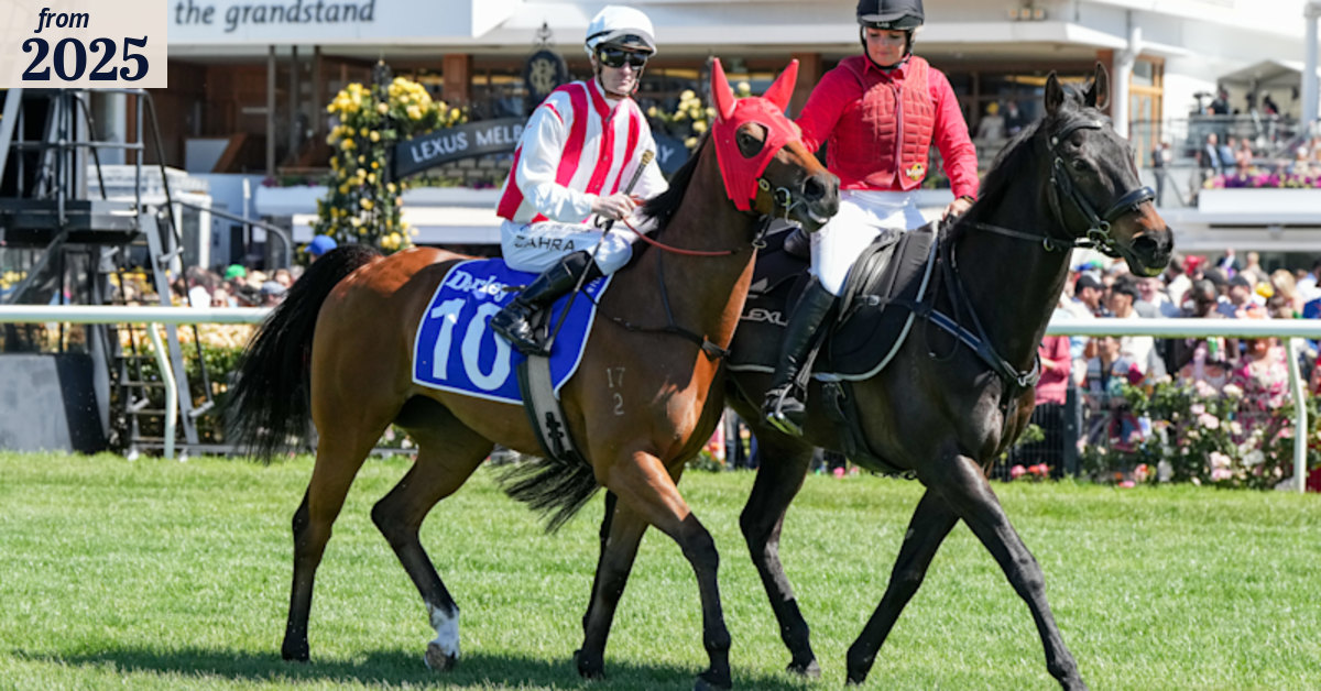 Anthony and Sam Freedman look for Price Tag to kick-start Sydney move