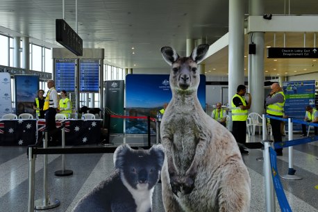 DFAT officials during the evacuation of Australians at Beirut’s Rafic Hariri International Airport. 