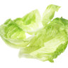 The dizzying rise of the iceberg lettuce to star of the society banquet