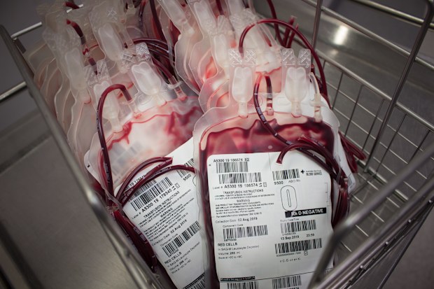 Lifeblood’ın son kış çağrılarına yanıt olarak on binlerce insan bağış yapmasına rağmen, en yaygın kan türlerinin stokları kritik derecede düşük.