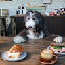 Ned pictured with Son of a Baker pastries and Zest coffee at Baba G’s.