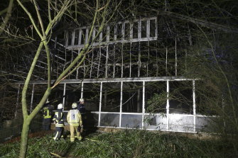 Chimpanzees, orang-utans and gorillas were killed in the blaze.