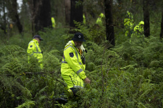 Police and volunteers search for Charlise Mutten in the Blue Mountains on January 18, the day before Justin Stein was charged with her murder.