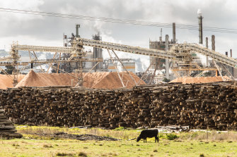 Latrobe Valley's Maryvale paper mill jobs at risk after Victoria's logging