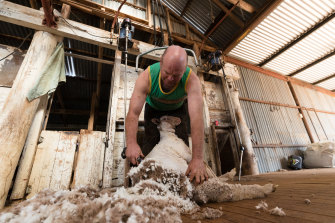 A shortage of shearers has prompted a call for young Australians to take up the trade. 