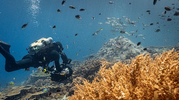 Ocean with David Attenborough highlights threats to the seabed.