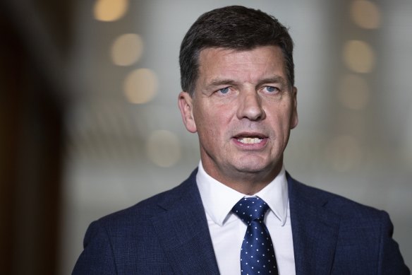 Shadow treasurer Angus Taylor.