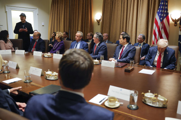 Elon Musk speaks at a cabinet meeting at the White House in February.