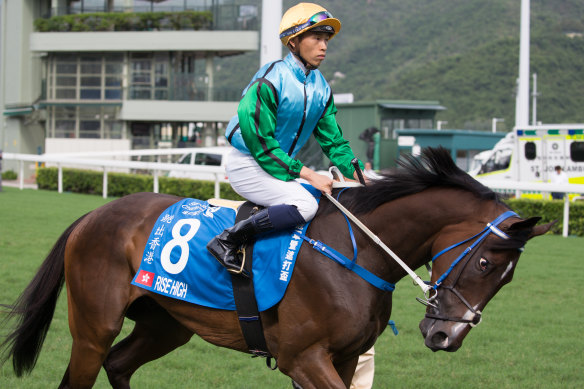 Clouds over comeback galloper but Newnham hopes for ray of Sunshine
