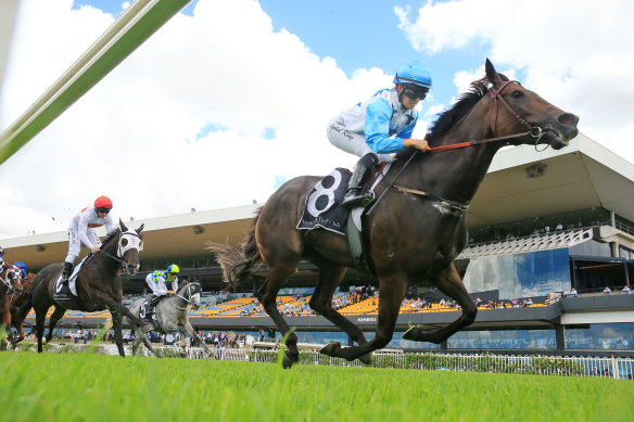 Nimalee is one of the fancies for The Coast at Gosford on Saturday.