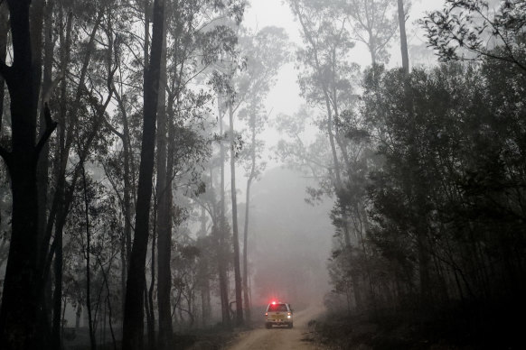 The logging industry has faced a double blow from the bushfires.
