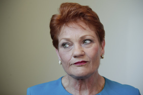 One Nation leader Pauline Hanson will no longer be a regular contributor on Channel Nine's Today Show.