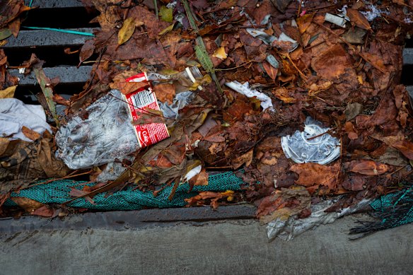 Single-use plastics used outside the home lead to most trash, Hutcheon said. 
