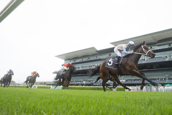 O’president takes out the Skyline Stakes with Tim Clark in the saddle last month.