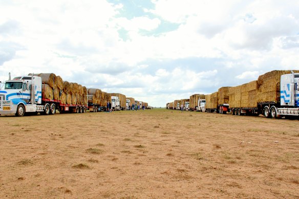 Farmers helping others in times of need by providing hay has become an established tradition.